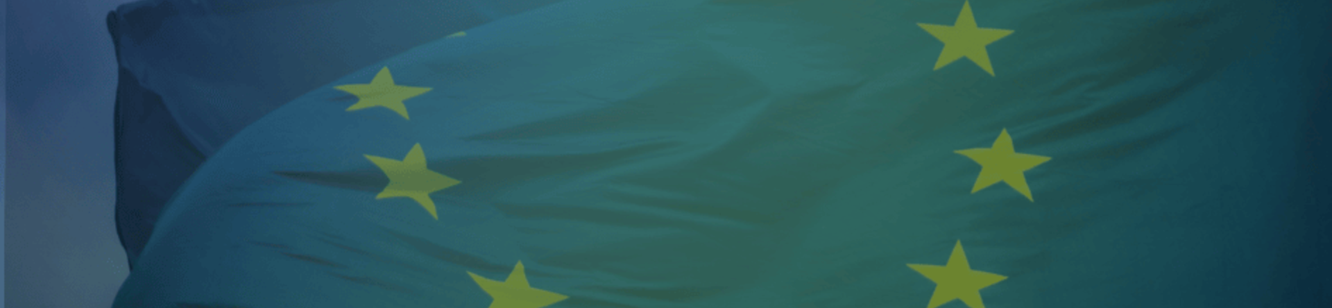 flag of the european union