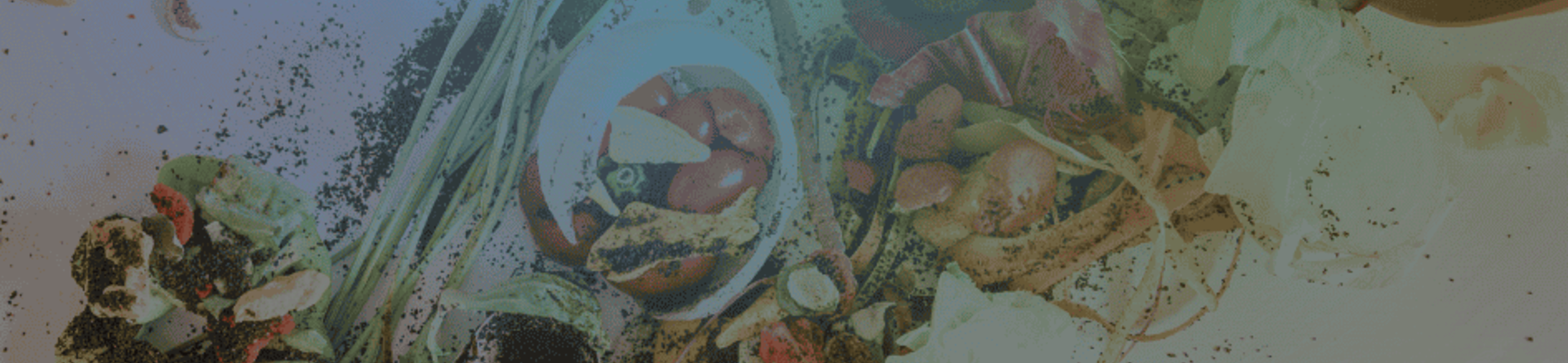 rifiuti organici di cibo