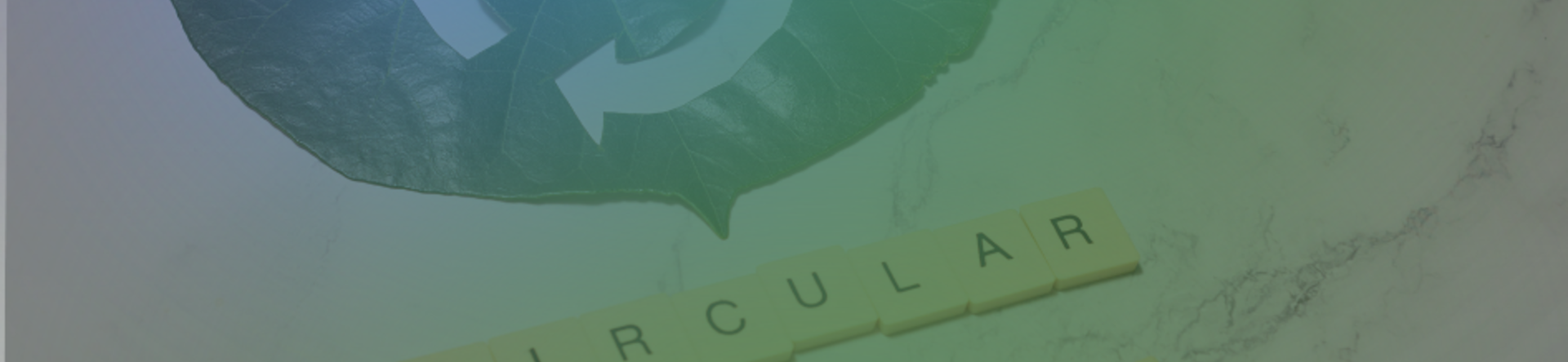 scritta circular economy