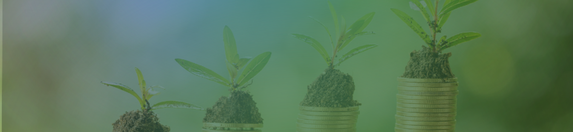 Towards the States General of the Green Economy 2024