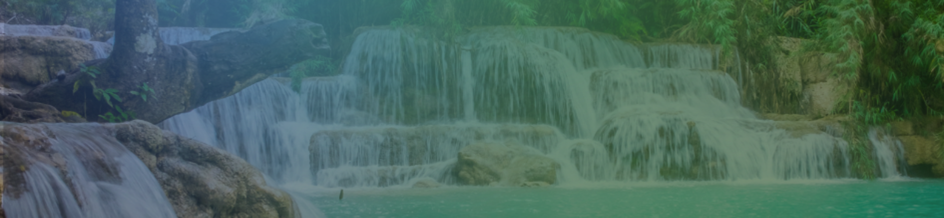 vegetazione con un torrente e cascata