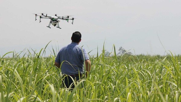 un uomo e un drone all'interno di un campo coltivato