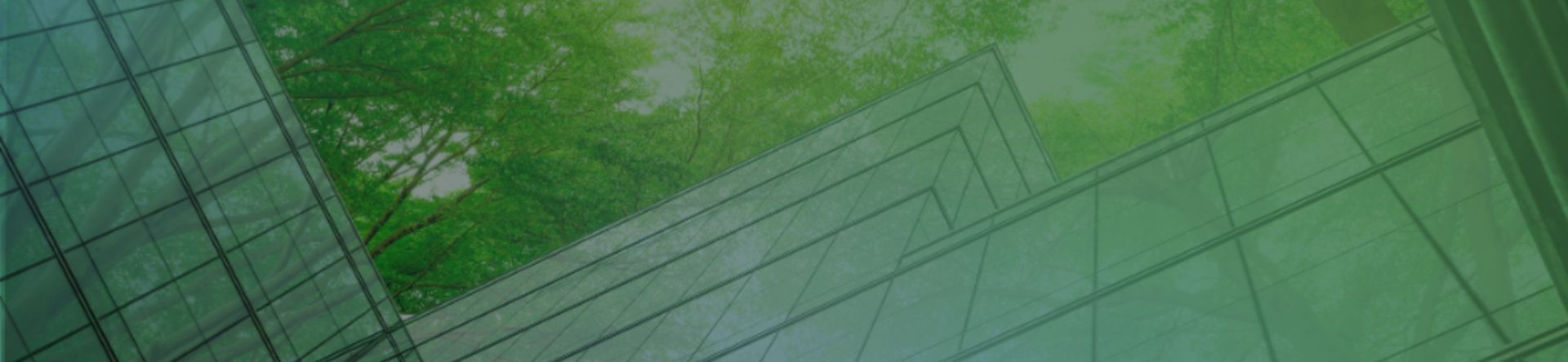 Aziende: come comunicare la transizione nell’era del greenlash? 