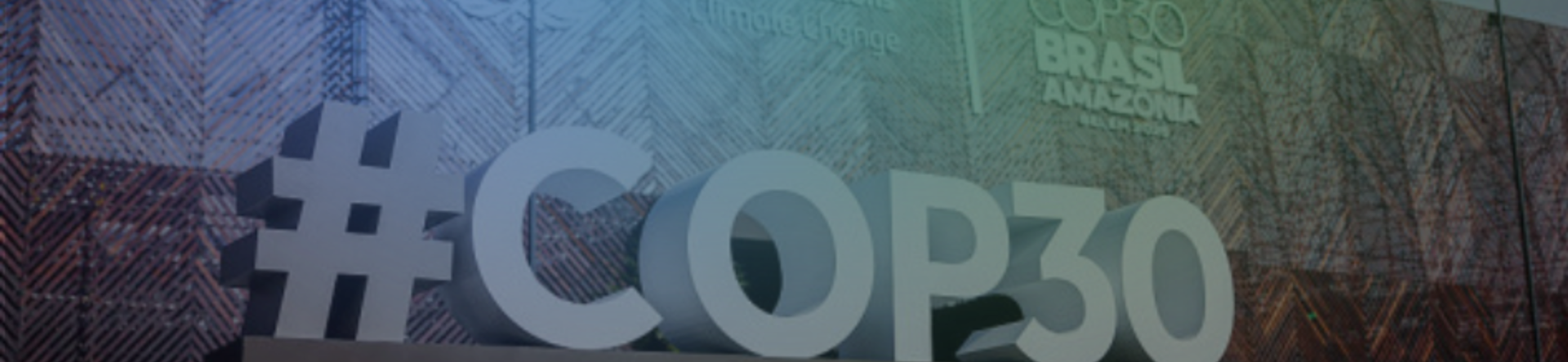 COP30, un fallimento su cui costruire il futuro