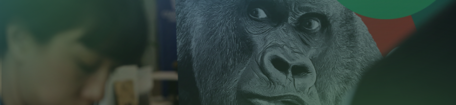 Transizione equa e sostenibile: dal Nordafrica 20 startup innovative 