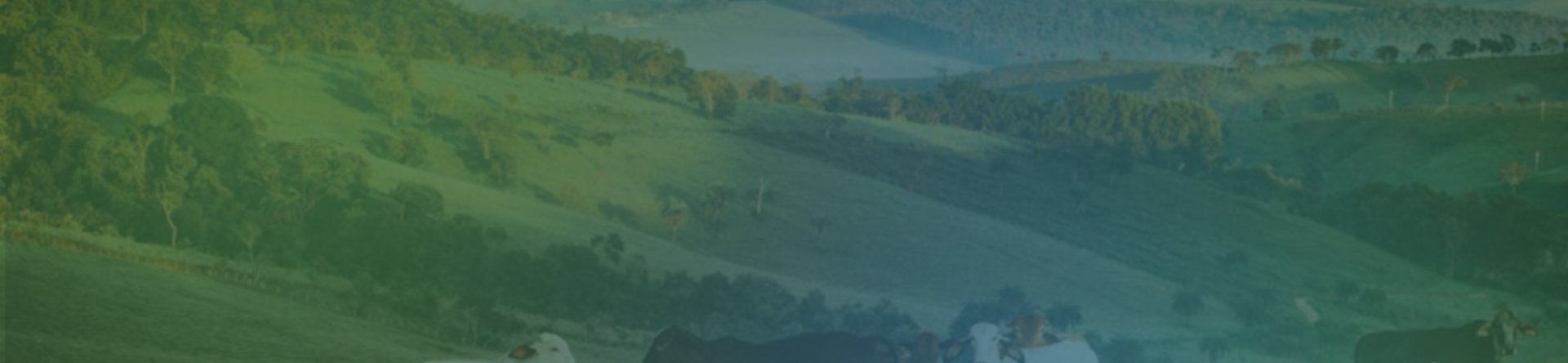 Sostenibilità, come sarà il 2026? 10 tendenze ed eventi da non perdere