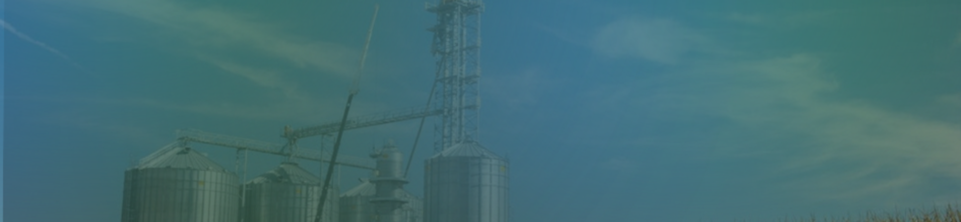 The European bioenergy landscape: strategic potential and challenges