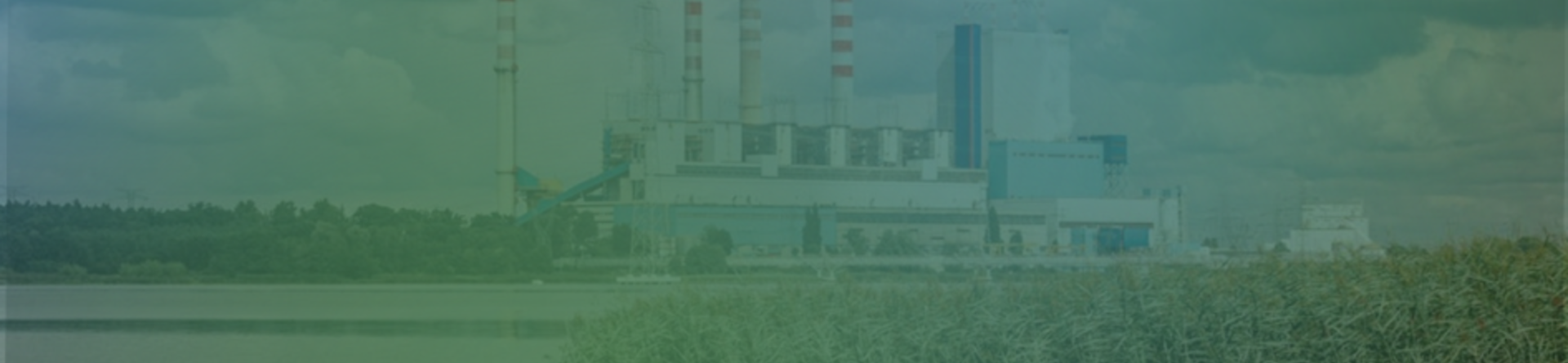 BECCS, bioenergy that removes CO2: how does it work and why is it strategic?