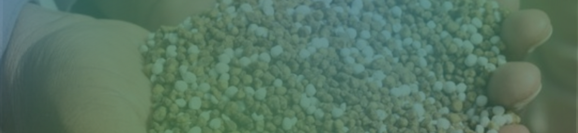 The bioeconomy, from research to the market: initiatives redefining industrial supply chains
