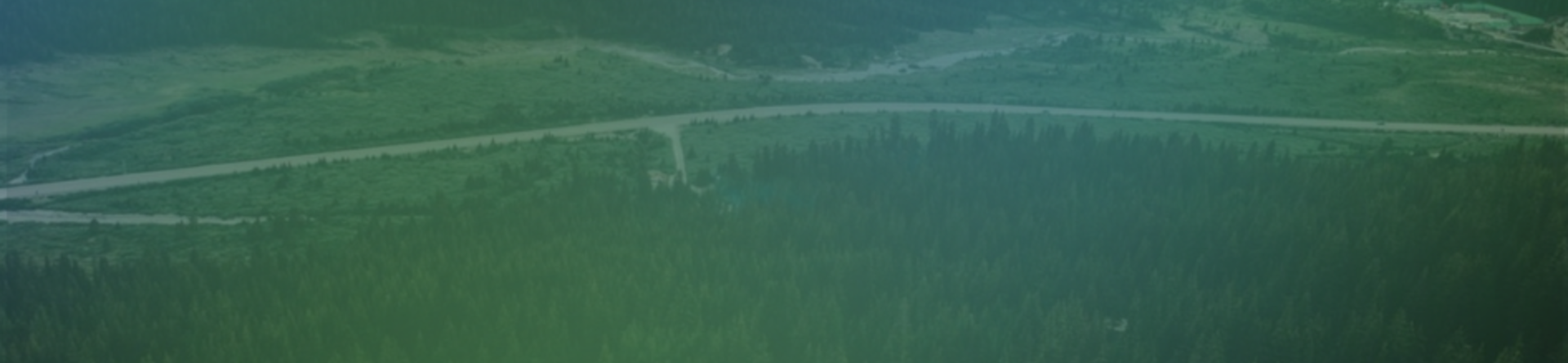 The forest as infrastructure: Canada’s bioeconomy of the future