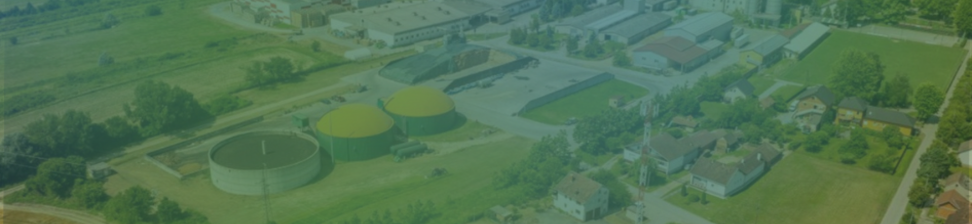 From strategy to action: how the bioeconomy can revitalise European industry 
