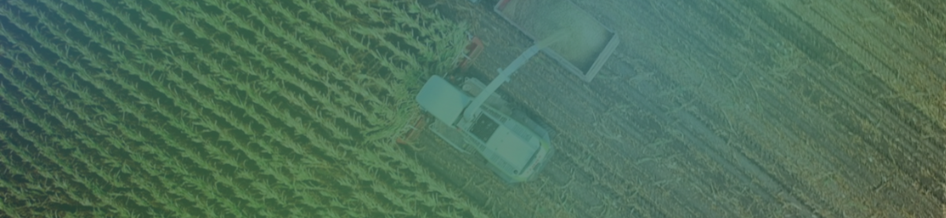 Bioenergy in Poland: agriculture as the driving force of the energy transition