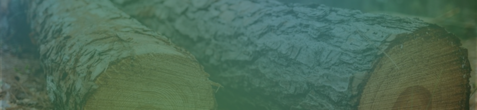 Woody biomass: the potential of a still underutilised resource