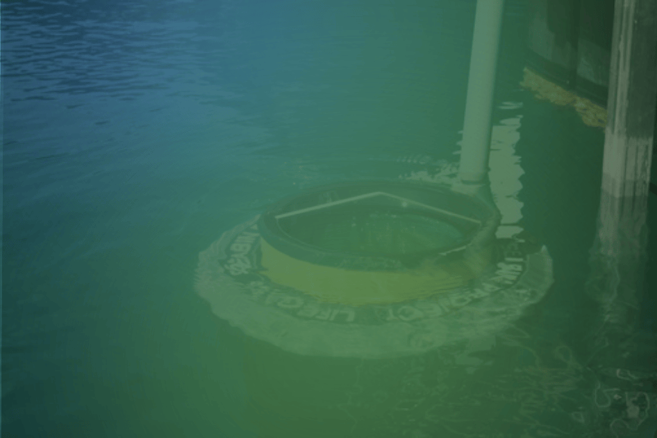 Lifegate presenta Water Defenders Alliance, una grande alleanza per difendere le nostre acque Lifegate presenta Water Defenders Alliance, una grande alleanza per difendere le nostre acque