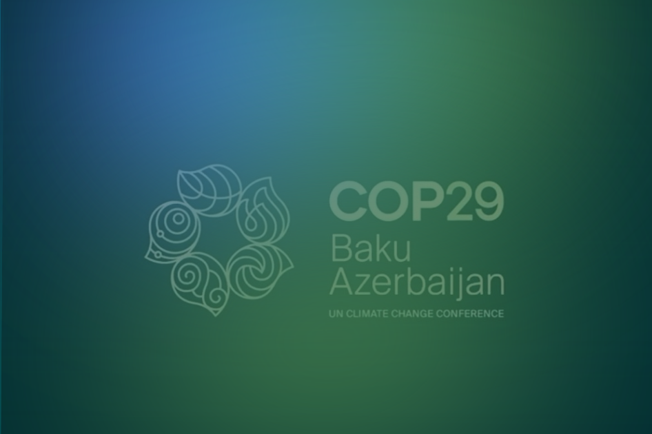 COP29, evitato il fallimento del negoziato sul clima COP29, evitato il fallimento del negoziato sul clima