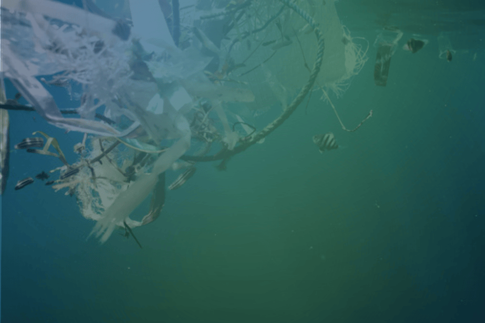 Inquinamento da plastica in mare: cause, conseguenze e soluzioni Inquinamento da plastica in mare: cause, conseguenze e soluzioni