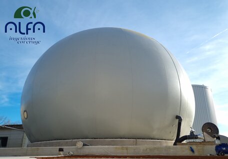 Accumulatore gas a doppia membrana