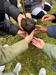 Progetto "Un Albero per il Futuro"