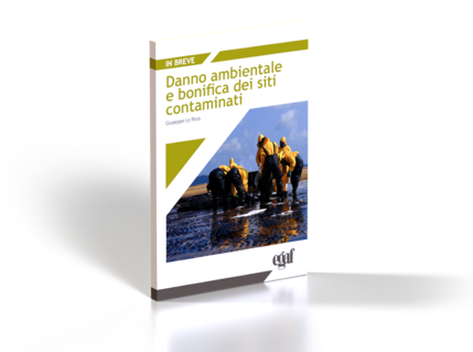 Manuali e guide Egaf